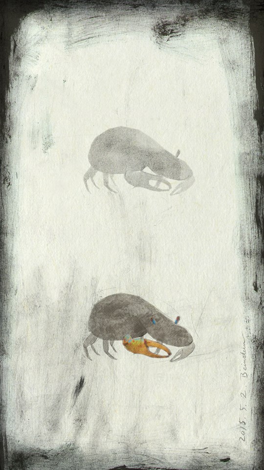 11219631_1589532091326239_3951830650848466855_n